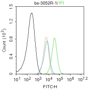 0 - phospho-Bcl-2 (Ser70) Rabbit pAb AP52218