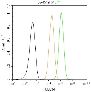 0 - TUBB3 (Neuronal Marker) Rabbit pAb AP52263