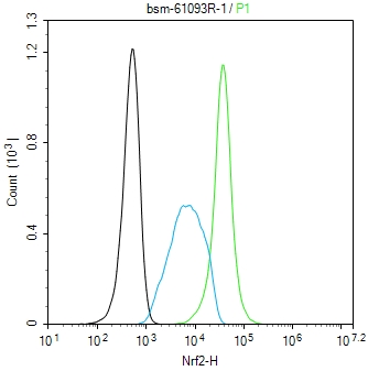 0 - Nrf2 Rabbit pAb AP52269