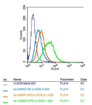 0 - Fragilis Rabbit pAb AP54801