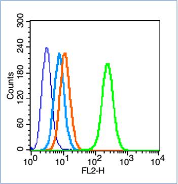 0 - HFE Rabbit pAb AP54828