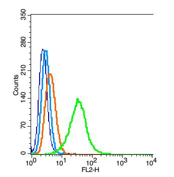 0 - Ube2B Rabbit pAb AP58138