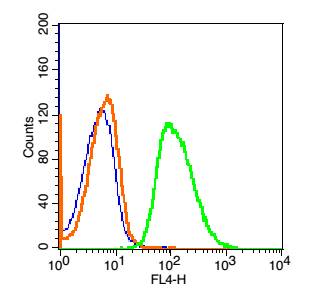 0 - Phospholipase C beta 2 Rabbit pAb AP58450