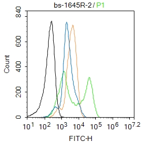0 - phospho-Erk1 (Thr202 + Tyr204) Rabbit pAb AP94745