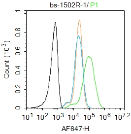 0 - CXCL10/IP10 Rabbit pAb AP94832